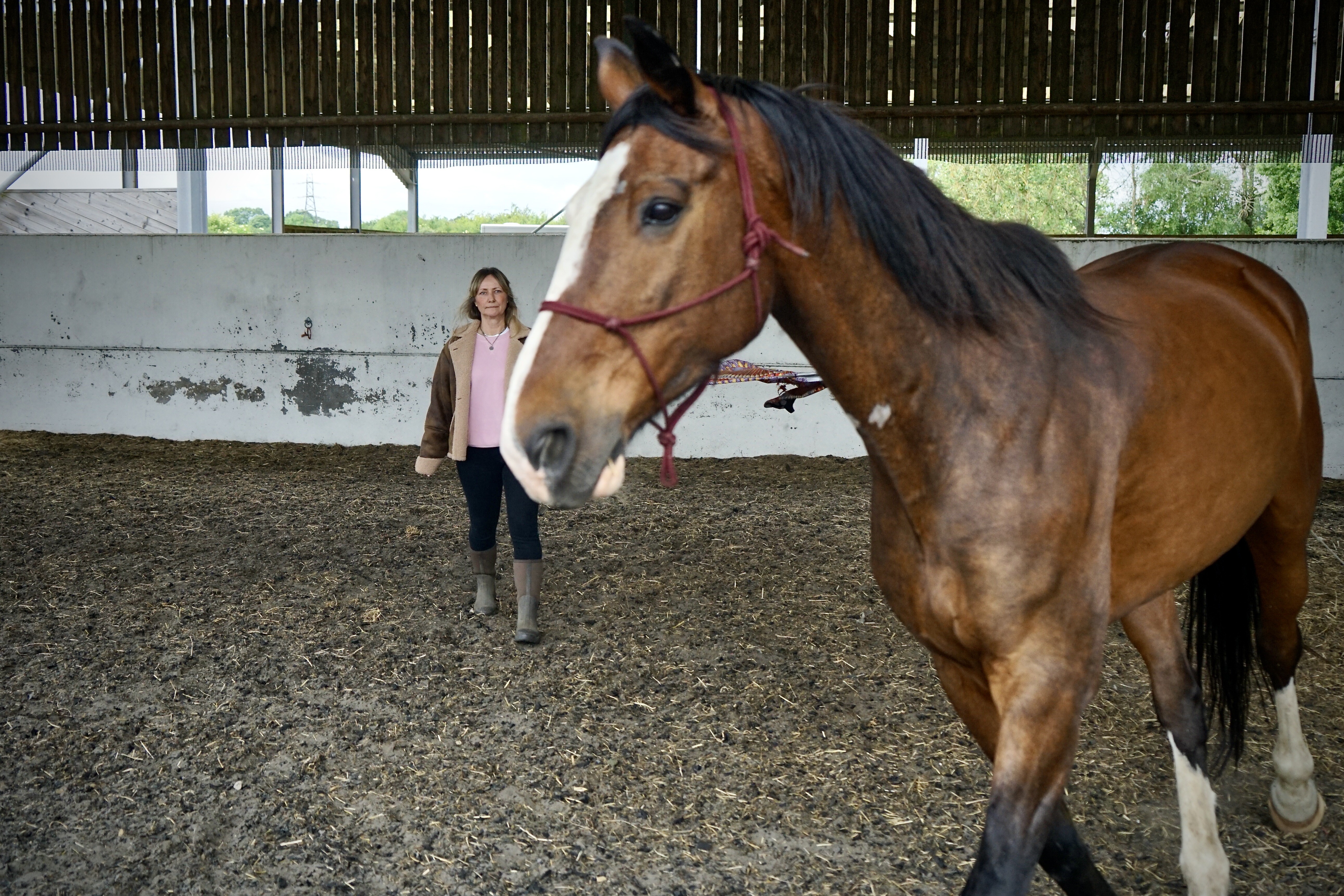 A horse at the forefront of the image moving around a barn. A woman stands behind the horse in the background, she is looking at the horse